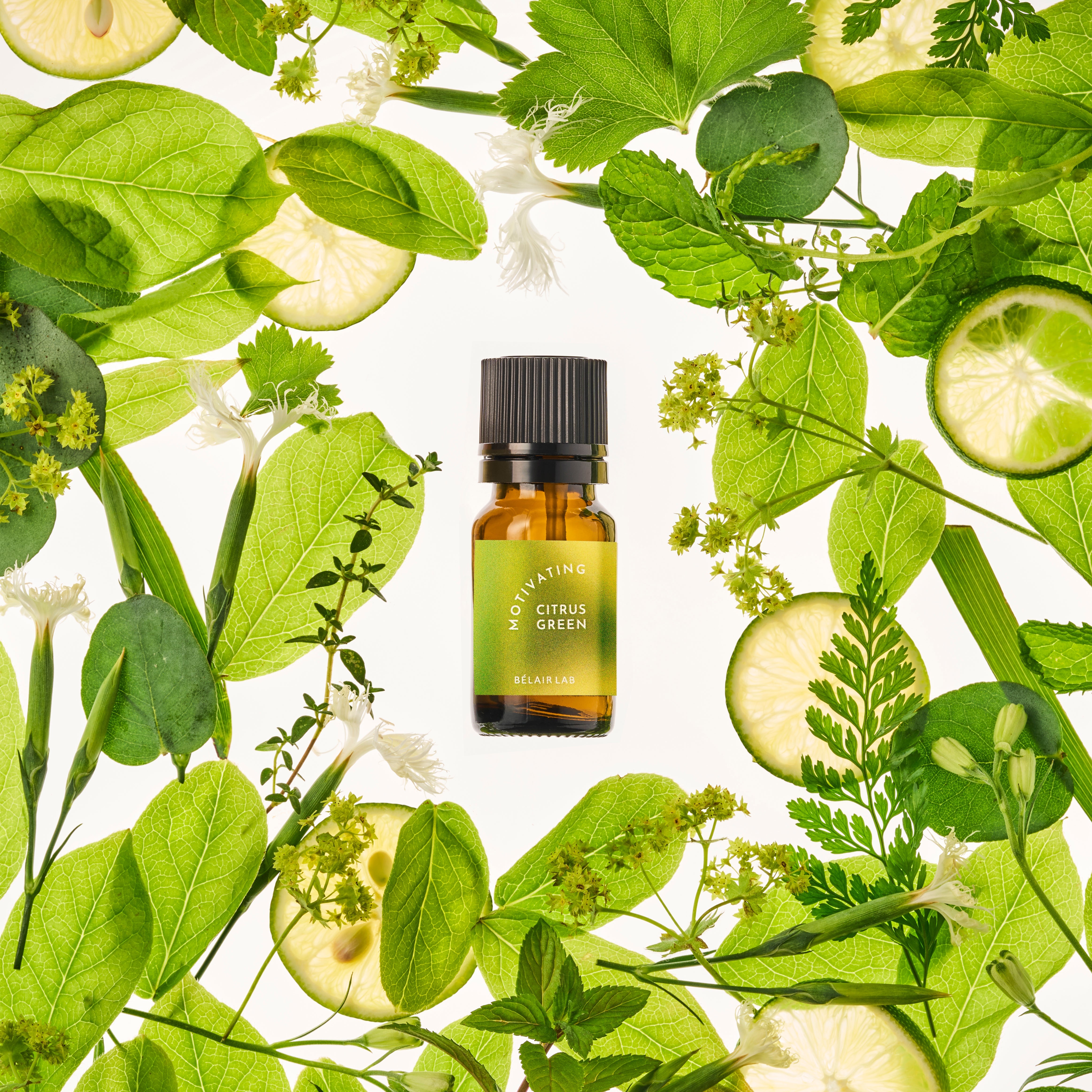 MOTIVATING CITRUS GREEN（モチベーティング シトラスグリーン