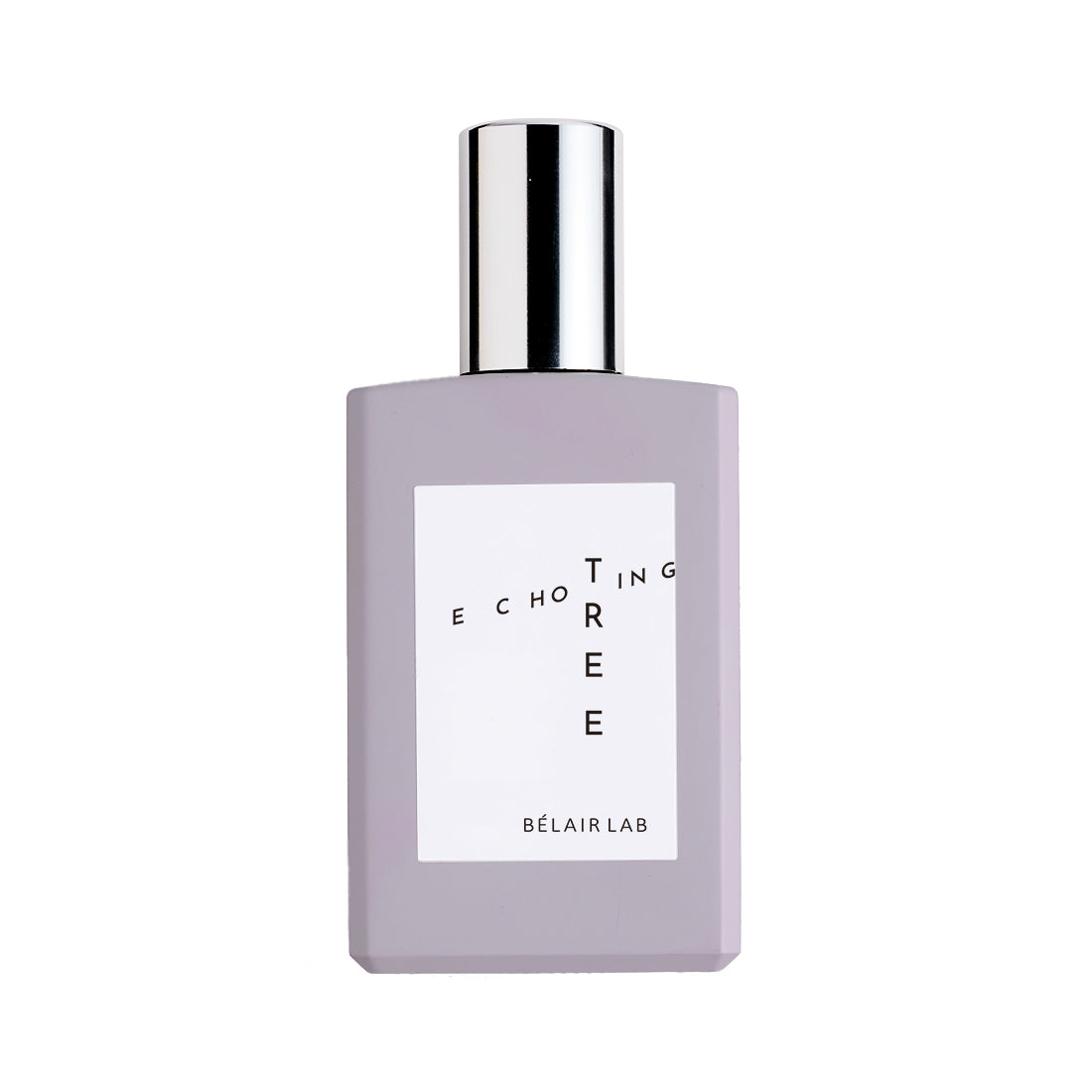 セクション画像