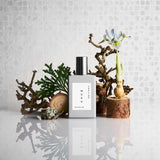 フィーリング ムク ルームフレグランススプレー (100ml)