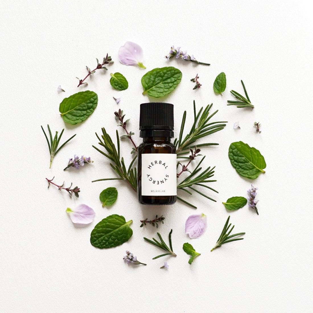 herbal ハーバル シナジー フレグランスオイル(10ml) – BÉLAIR LAB(ベレアラボ) 公式オンラインストア