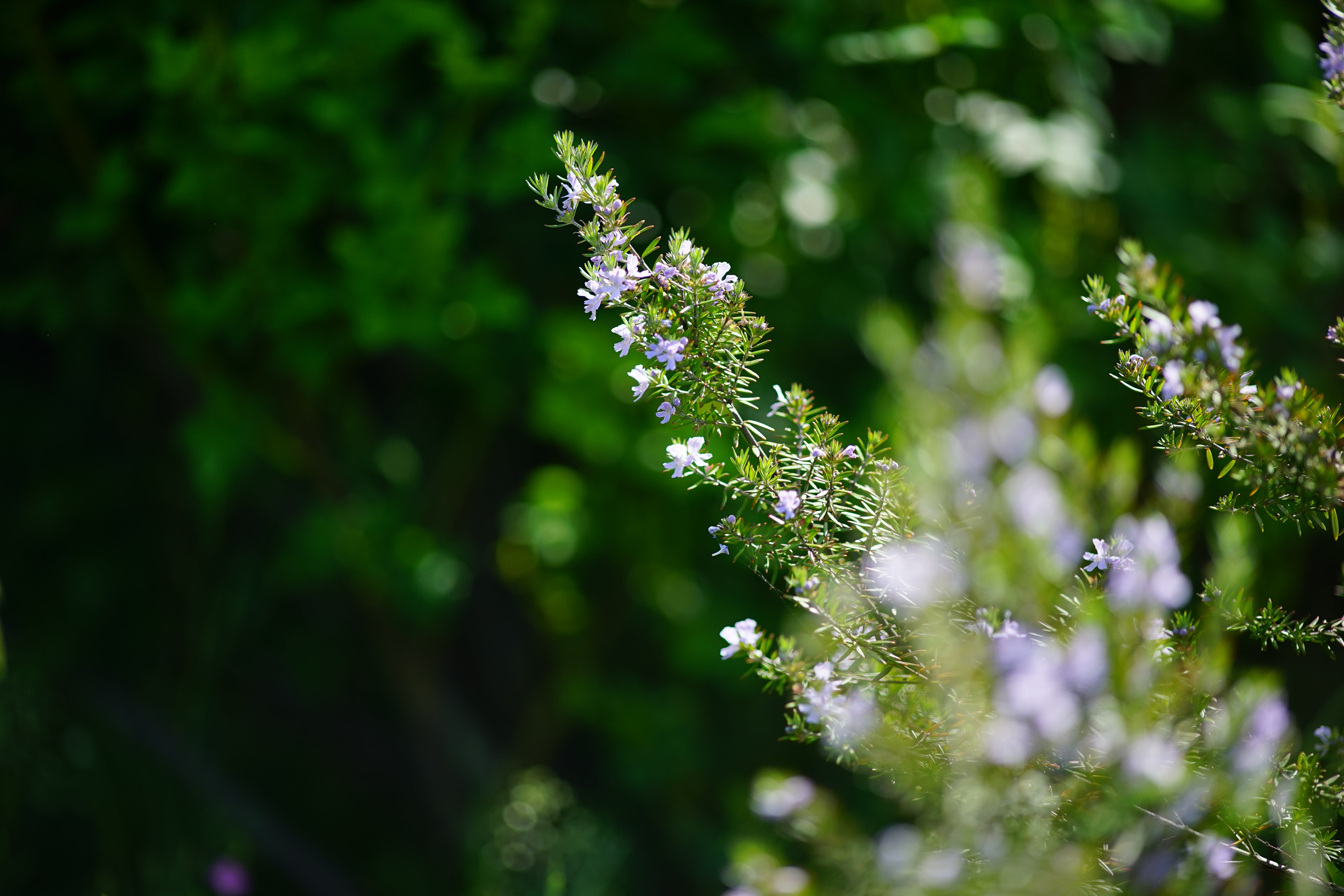 AdobeStock_393268981.jpeg__PID:0d809eb8-377d-4a5a-8421-7962df27ecf6