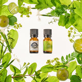 モチベーティング シトラスグリーン フレグランスオイル（10ml）