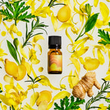 【新発売】＜香りのトライアル ミニサイズ＞ブルーミング エナジー ルームフレグランススプレー （2ml）