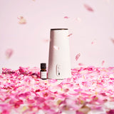 フラタリング サクラ ローズ アロマディフューザー専用フレグランスオイル（10ml）