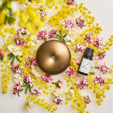 シマーリング ジンチョウゲ アロマディフューザー専用フレグランスオイル（15ml）