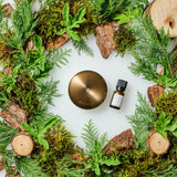 【新発売記念！送料無料】エコーイング ツリー アロマディフューザー専用フレグランスオイル（10ml）